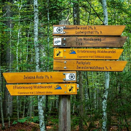 Grosser Arber, Wandern & Sauna, Gemuetliches Apartment Im Nationalpark Bayerischen Wald Lindberg ภายนอก รูปภาพ
