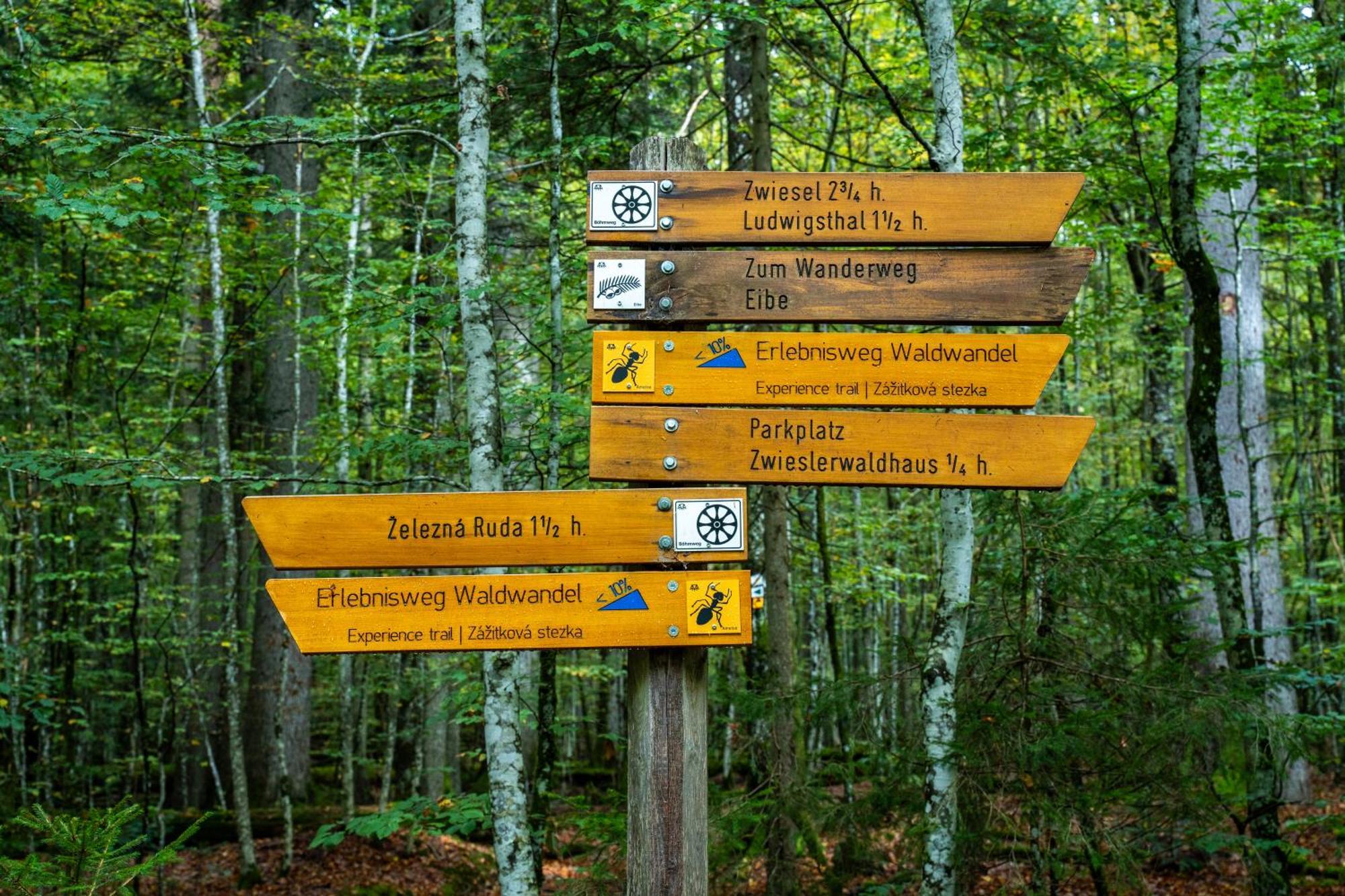 Grosser Arber, Wandern & Sauna, Gemuetliches Apartment Im Nationalpark Bayerischen Wald Lindberg ภายนอก รูปภาพ