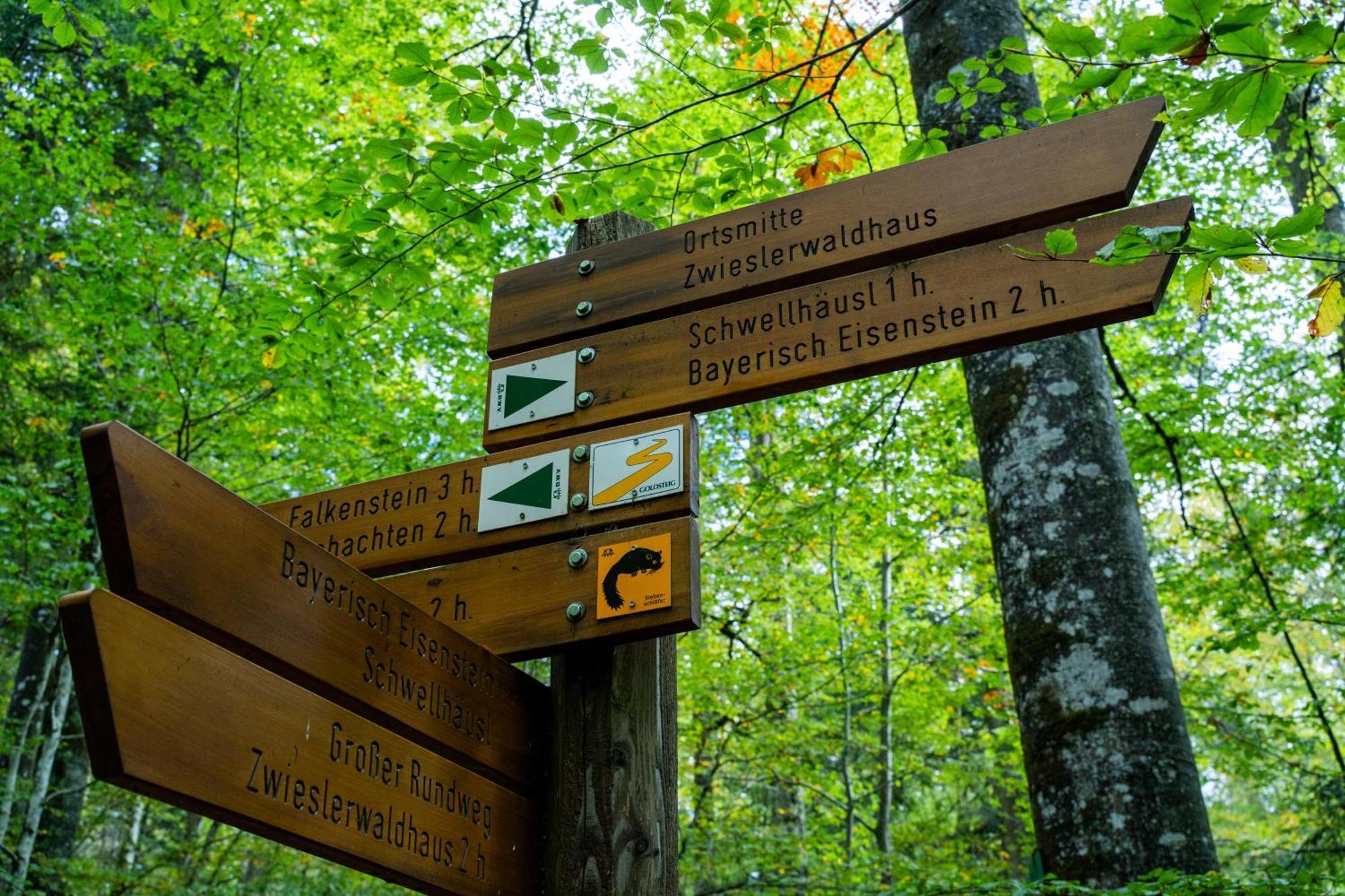 Grosser Arber, Wandern & Sauna, Gemuetliches Apartment Im Nationalpark Bayerischen Wald Lindberg ภายนอก รูปภาพ